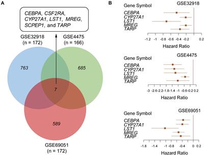 Whole Transcriptome Data Analysis Reveals Prognostic Signature Genes for Overall Survival Prediction in Diffuse Large B Cell Lymphoma